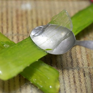 extraer aloe vera para batido