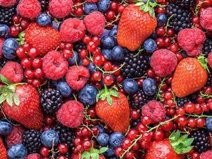 variedad de frutos rojos