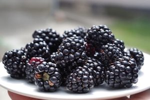 moras