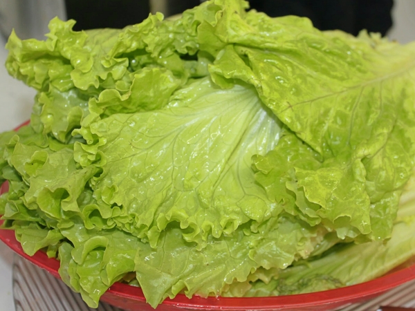 Lechuga, el ingrediente principal de nuestra agua
