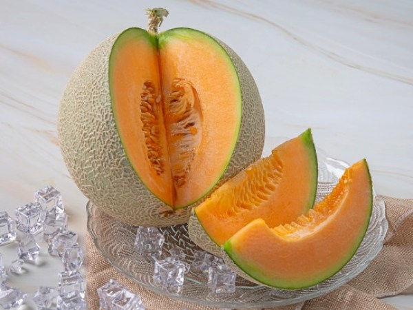 melon cantalupe