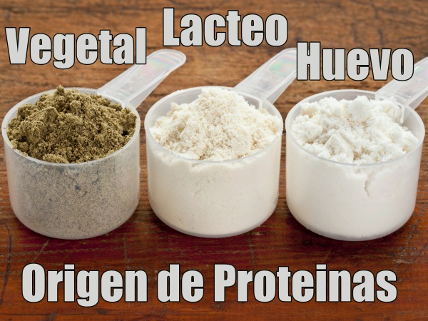 Tipos de Batidos de Proteinas por origen y fuente de proteína 