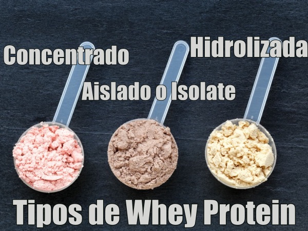 Tipos de Proteinas de Suero de Leche o Whey Protein